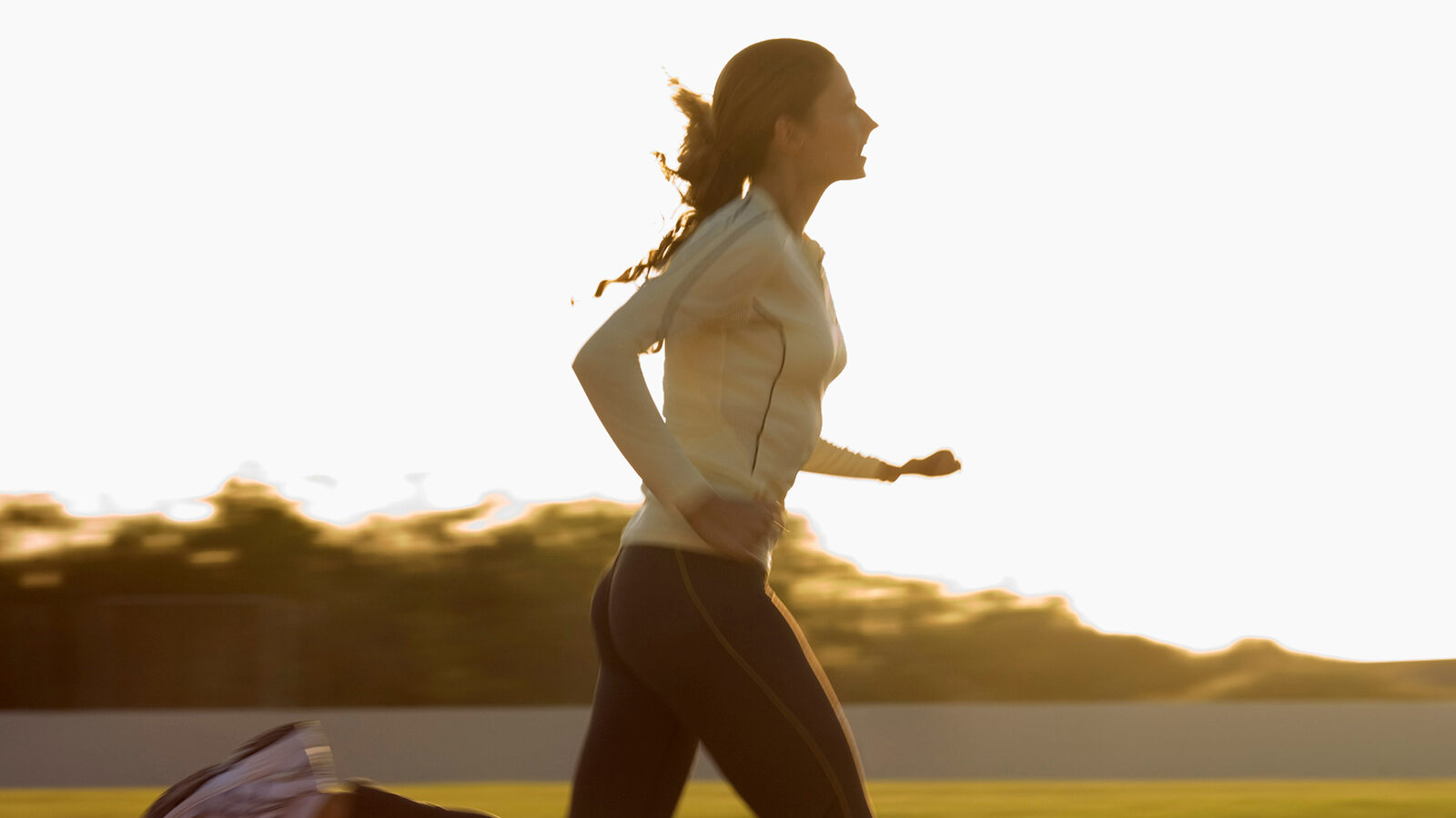 vLamax: the second pillar of the athlete's metabolic phenotype